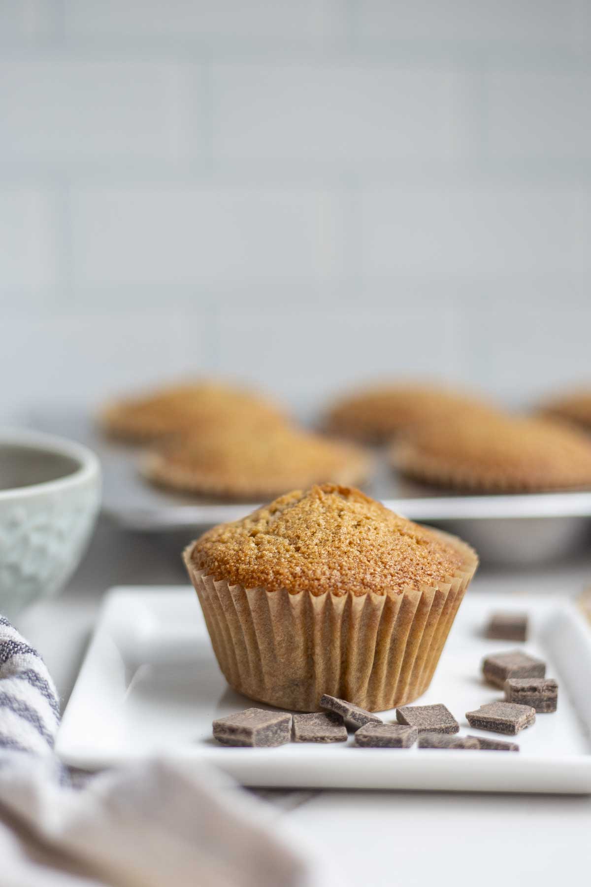Whole wheat sourdough chocolate chip muffin on a white plate with more chocolate chips. A muffin tin of more muffins are in the background.